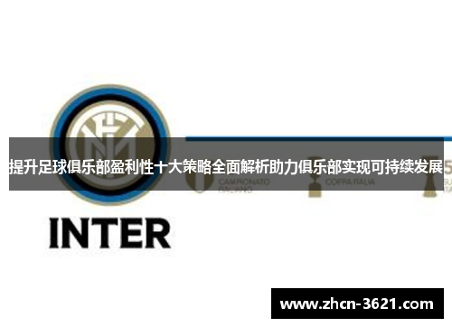 提升足球俱乐部盈利性十大策略全面解析助力俱乐部实现可持续发展