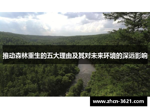 推动森林重生的五大理由及其对未来环境的深远影响